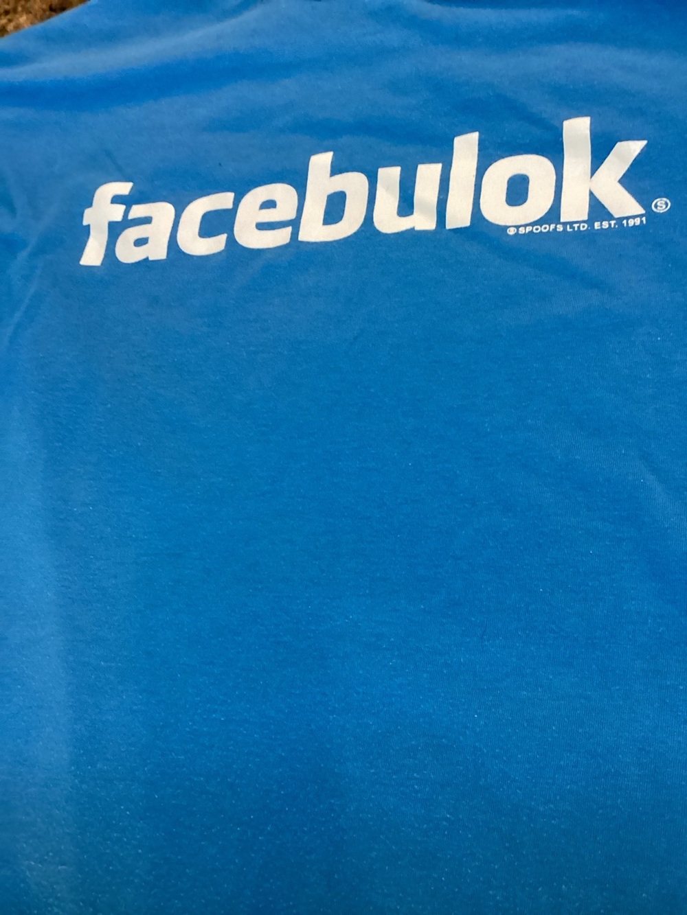 FaceBulok ,Graphic Tee in ,Bright Blue,Size Extra Large